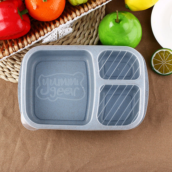 3 Compartment Meal Storage