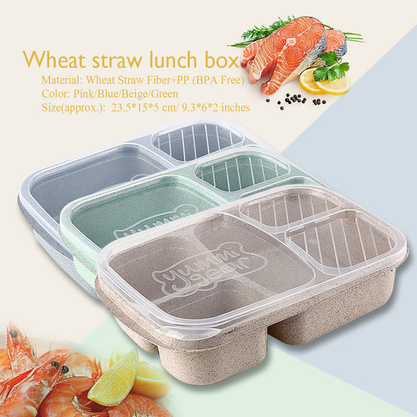 3 Compartment Meal Storage