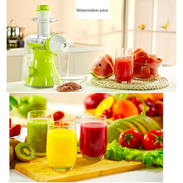 Manual Juice Extractor